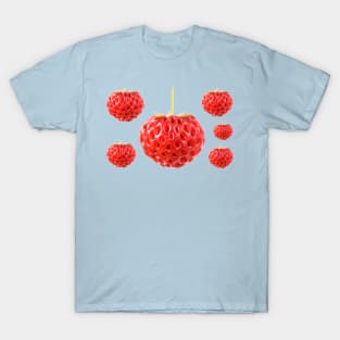 Fragaria x ananassa &#39;Framberry&#39; Strawberry T-Shirt